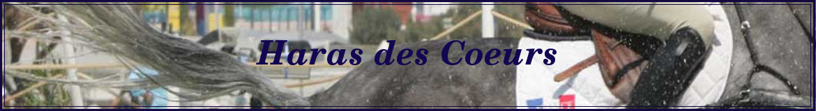 Haras des Coeurs